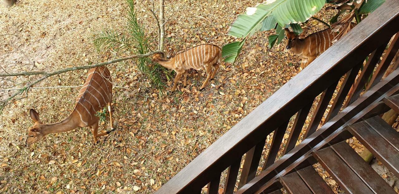House 53 Sodwana Bay Lodge Экстерьер фото